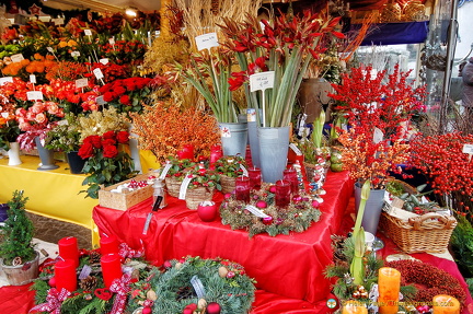 Flowers and plants at Viktualienmarkt